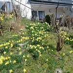 Perlenbachtal Apartament