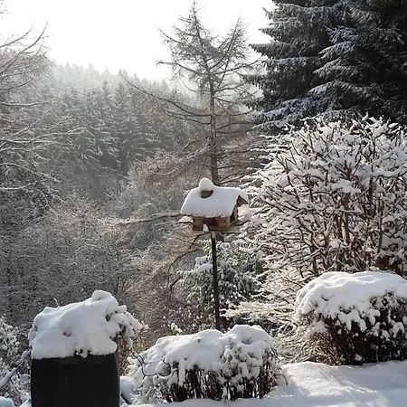 Perlenbachtal Appartement