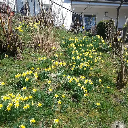 Perlenbachtal 아파트