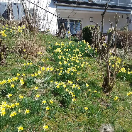 Perlenbachtal Appartement