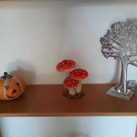 Appartement Perlenbachtal Montjoie