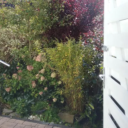 Perlenbachtal * Montjoie