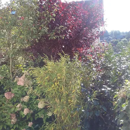 Perlenbachtal * Montjoie