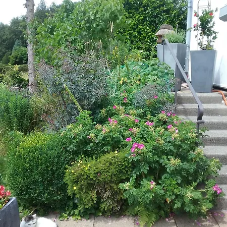 Apartment Perlenbachtal