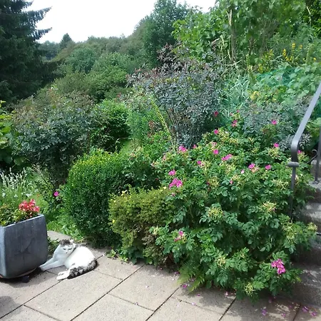 Perlenbachtal Appartement *