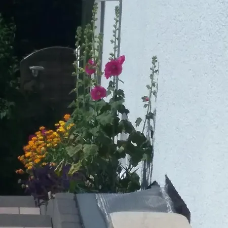 Appartement Perlenbachtal *