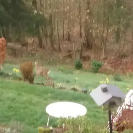 Perlenbachtal 아파트 몬샤우