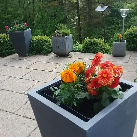 Perlenbachtal Apartman