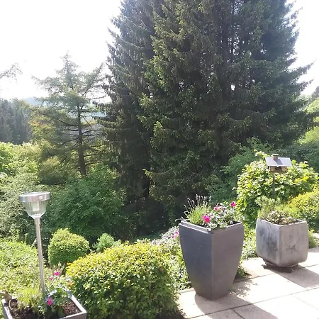 Perlenbachtal * Montjoie