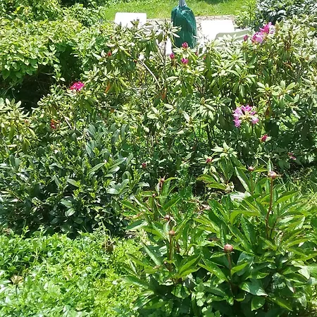 아파트 Perlenbachtal *