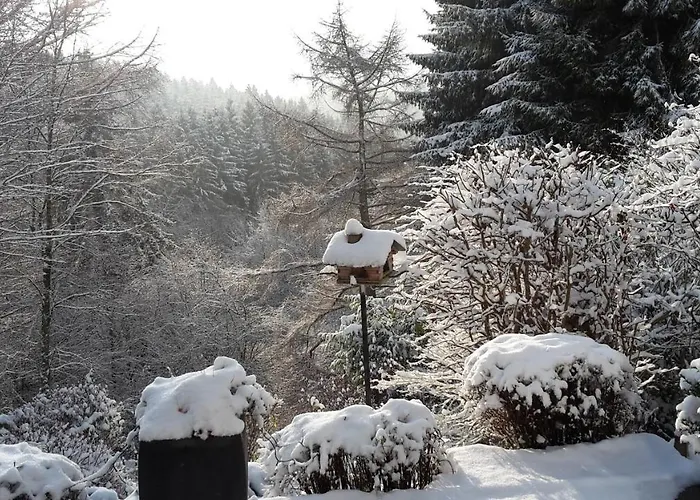 Perlenbachtal 公寓