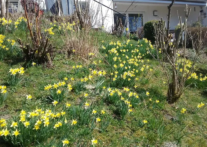 Perlenbachtal Apartman