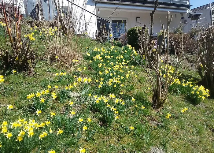 Perlenbachtal Apartman