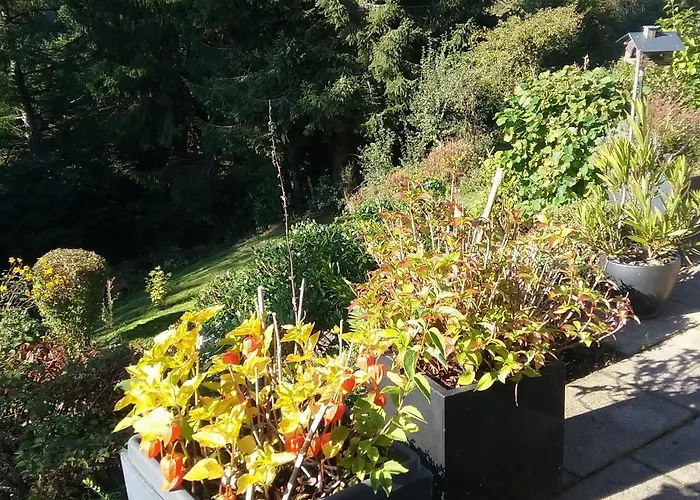 Perlenbachtal * مونشاو