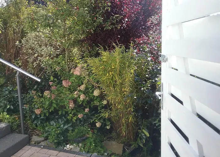 Perlenbachtal * مونشاو