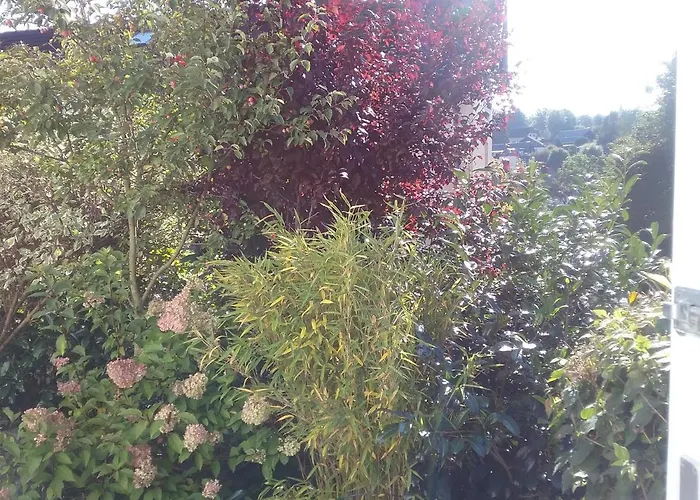 Perlenbachtal * Monschau