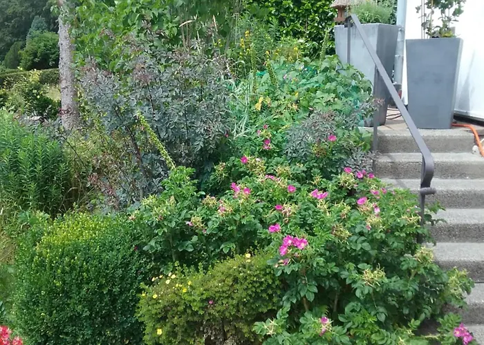 Apartman Perlenbachtal