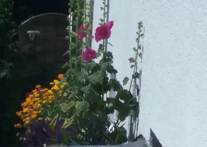 شقة Perlenbachtal *