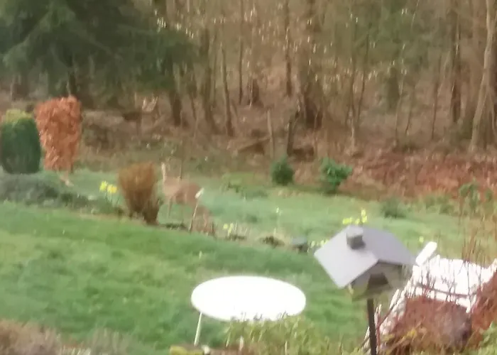 Perlenbachtal Apartman Monschau