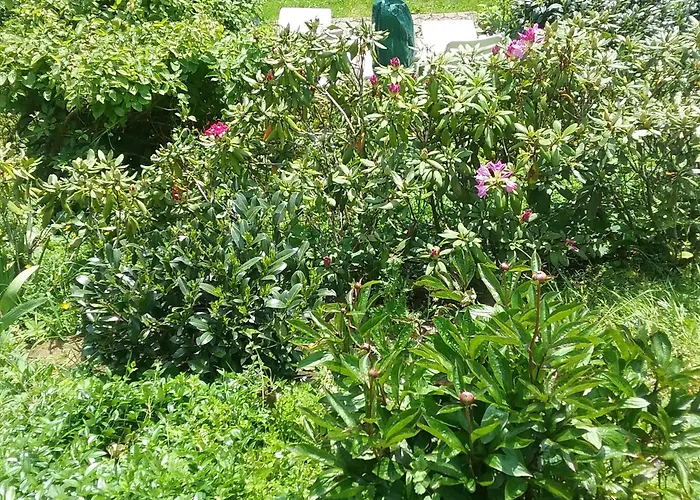 公寓 Perlenbachtal *